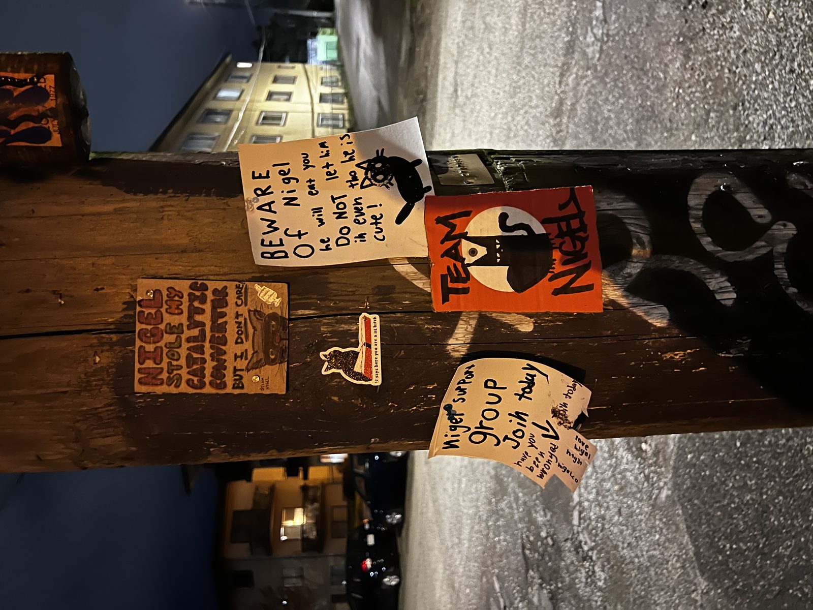 The Nigel Pole at night, covered in hand-painted signs and drawings